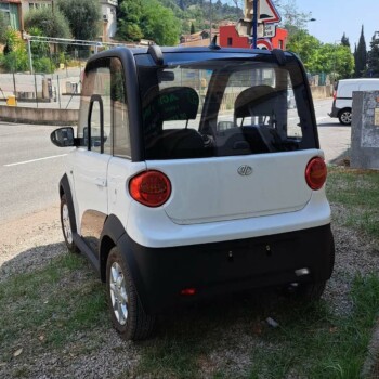 voiture électrique sans permis menton