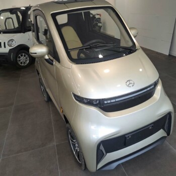 voiture électrique sans permis menton