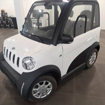 voiture électrique sans permis menton